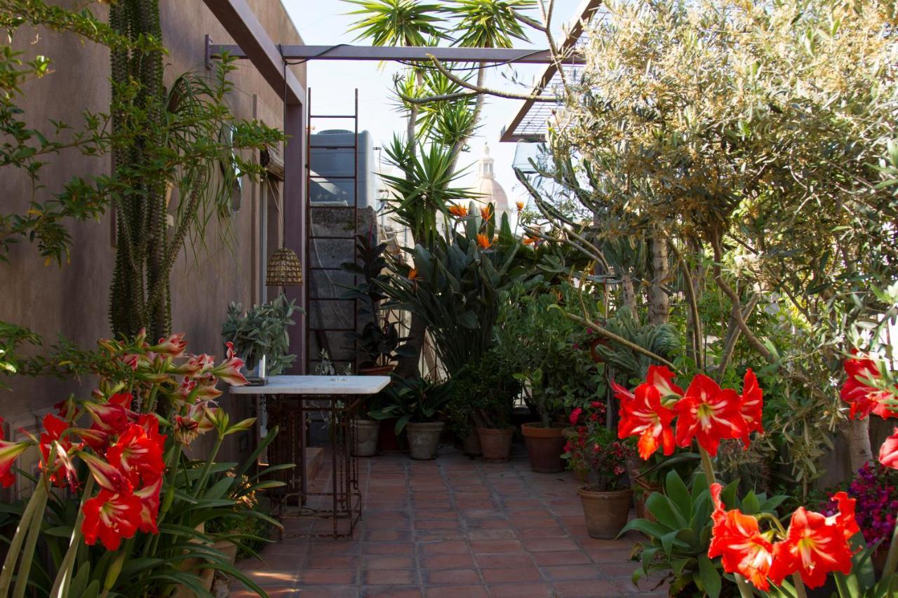 Tre Vie Apartment Con Terrazzo Giardino Pensile 卡塔尼亚 外观 照片