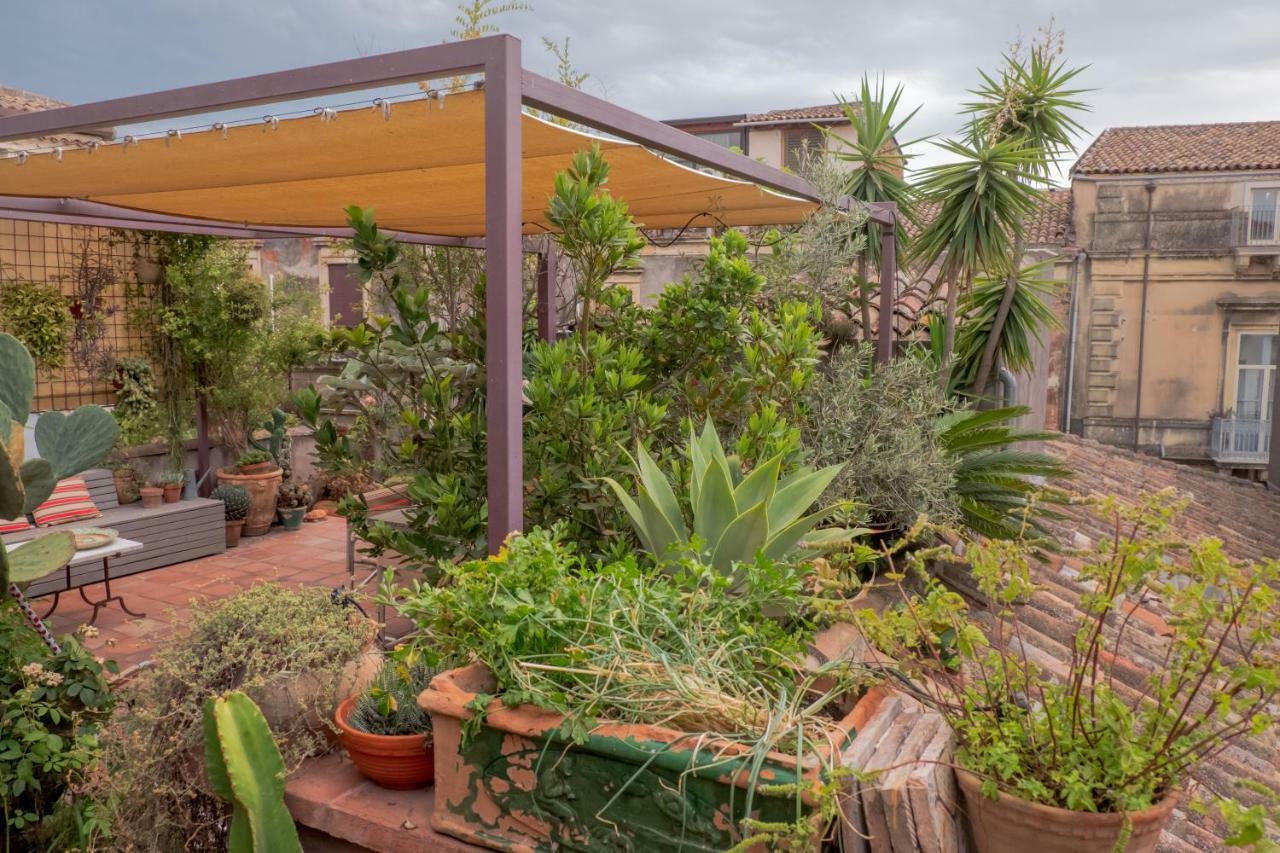 Tre Vie Apartment Con Terrazzo Giardino Pensile 卡塔尼亚 外观 照片